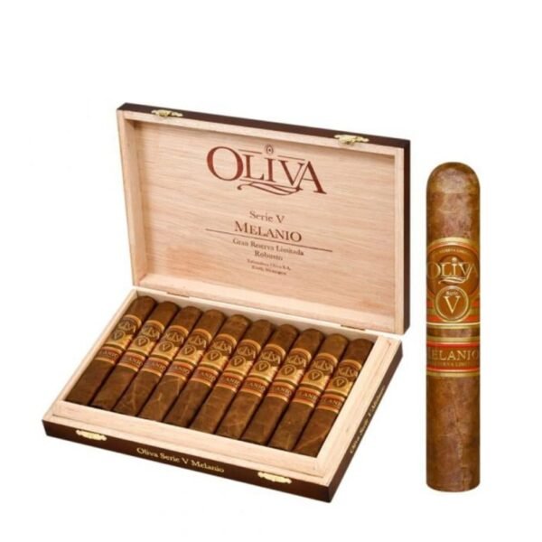 Oliva V melanio robusto