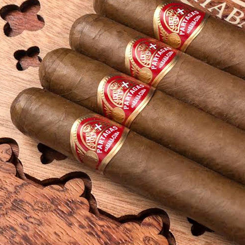 PARTAGAS TROPICALES 175 ANIVERSARIO CIGAR HUMIDOR - Image 2