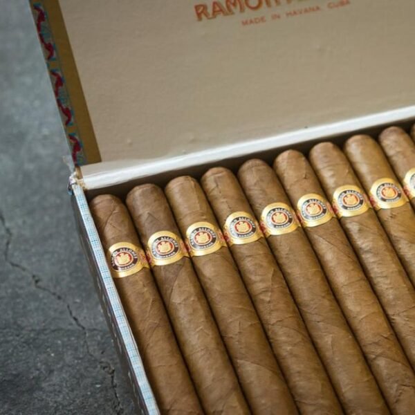 RAMÓN ALLONES GIGANTES CIGAR