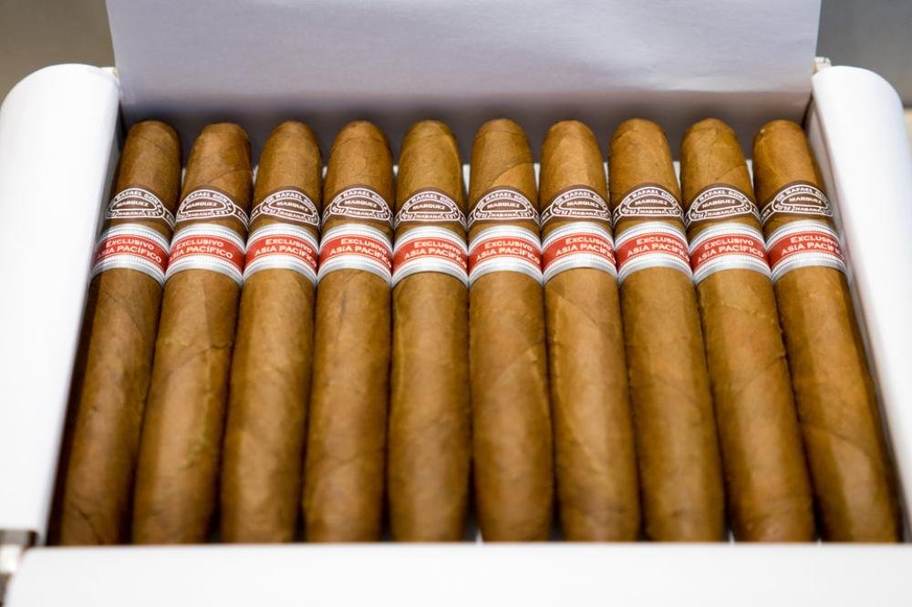 RAFAEL GONZALEZ 88 CIGAR (EX. ASIA PACIFICO 2016) - Image 2