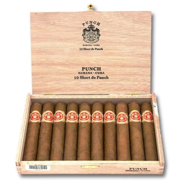 PUNCH SHORT DE PUNCH CIGAR